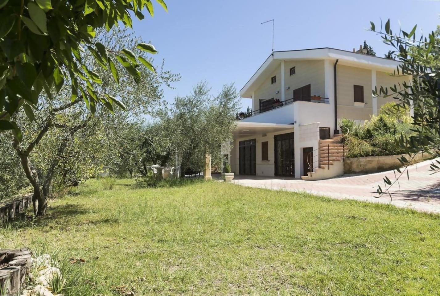 Casa Festa Timmari
